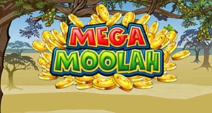 The  biggest win from a slot machine was from a maga moolah game.