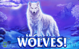 Wolves slots game